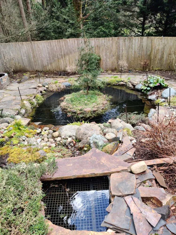 Reliable landscape design for residential properties across Seattle, WA - Puget Sound Ponds