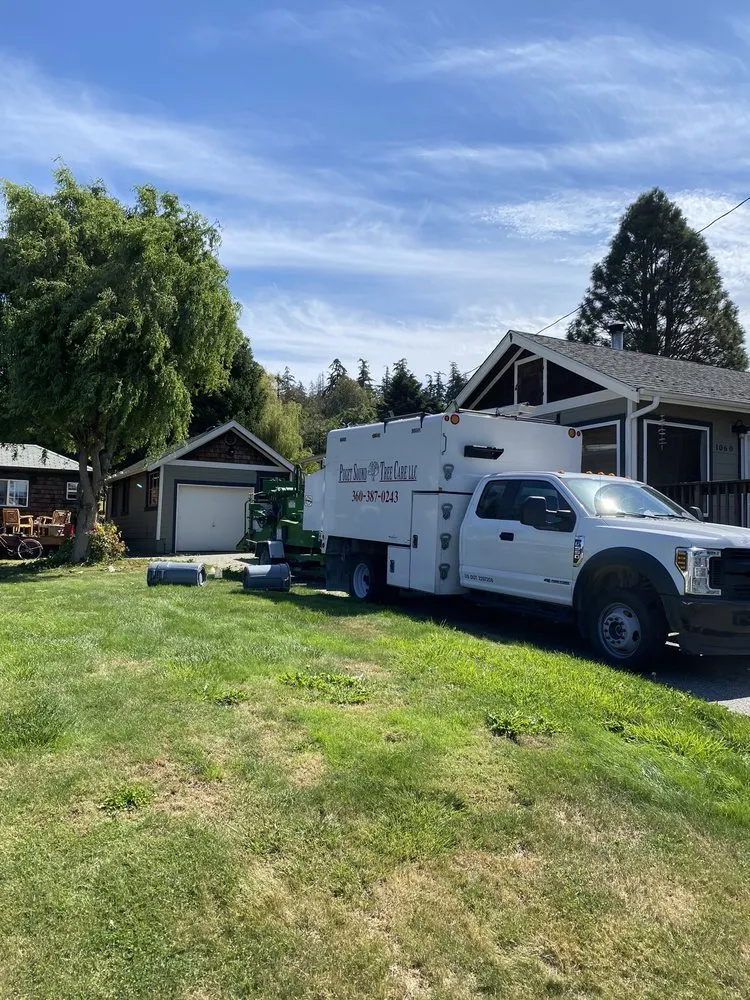 Professional yard cleanup service for residential properties in Camano Island, WA by Puget Sound Tree Care