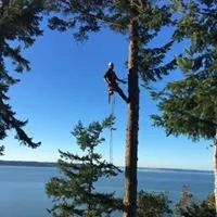 Custom residential landscaping with custom design in Camano Island, WA by Puget Sound Tree Care