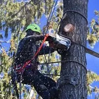 Reliable residential landscaping experts serving Camano Island, WA - Puget Sound Tree Care