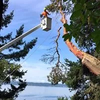 Trusted residential landscaping experts serving Camano Island, WA - Puget Sound Tree Care