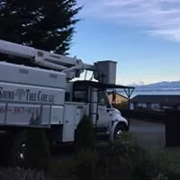 Trusted lawn care service experts serving Camano Island, WA - Puget Sound Tree Care