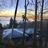 Expert landscape design for outdoor upgrades across Camano Island, WA - Puget Sound Tree Care