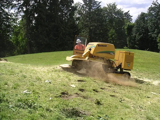 Local landscape installation experts serving Camano Island, WA - Puget Sound Tree Care