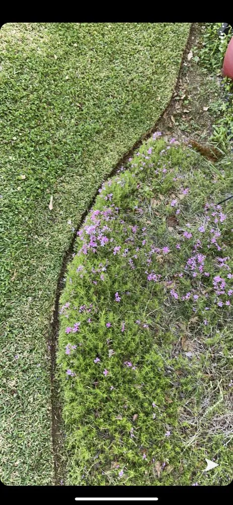 Local garden landscaping experts serving Oxford, MS - Pugh Lawn Management & Landscape