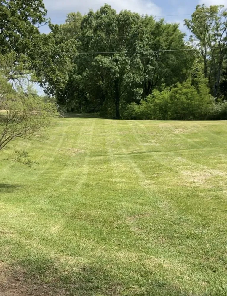 Expert landscape design for year-round maintenance in Oxford, MS by Pugh Lawn Management & Landscape