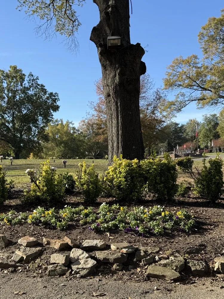 Reliable lawn care service in Memphis, TN by Pugh's EarthWorks Memphis