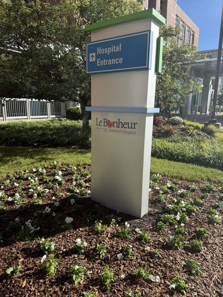 Top-rated landscaping services experts serving Memphis, TN - Pugh's EarthWorks Memphis