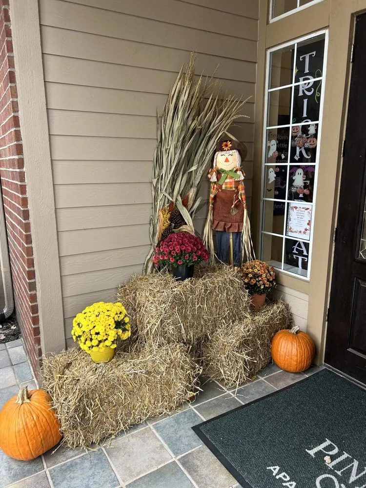 Custom garden landscaping in Memphis, TN by Pugh's EarthWorks Memphis