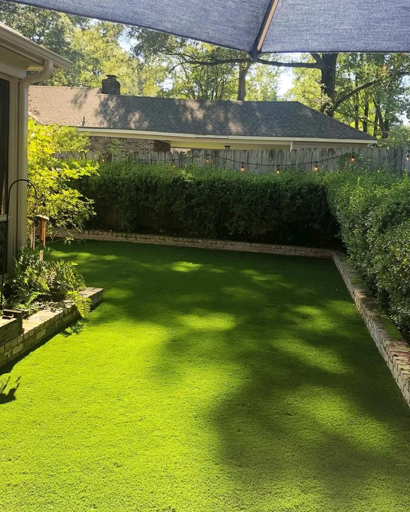 Professional yard cleanup service for year-round maintenance in Memphis, TN by Pugh's EarthWorks Memphis