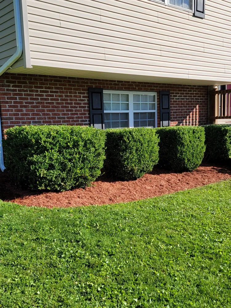 Top-rated landscape design for residential properties across Bluefield, VA - Pugh's General Contracting