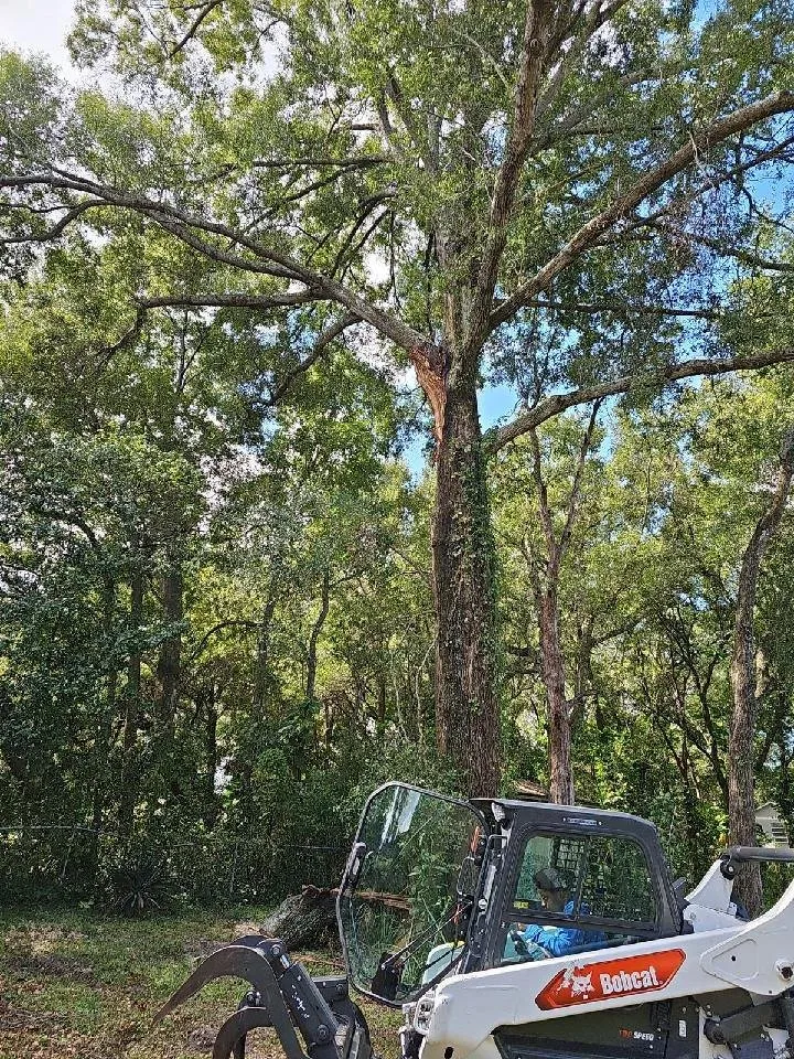 Professional yard cleanup service with custom design in Orlando, FL by Pugh’s Outdoors