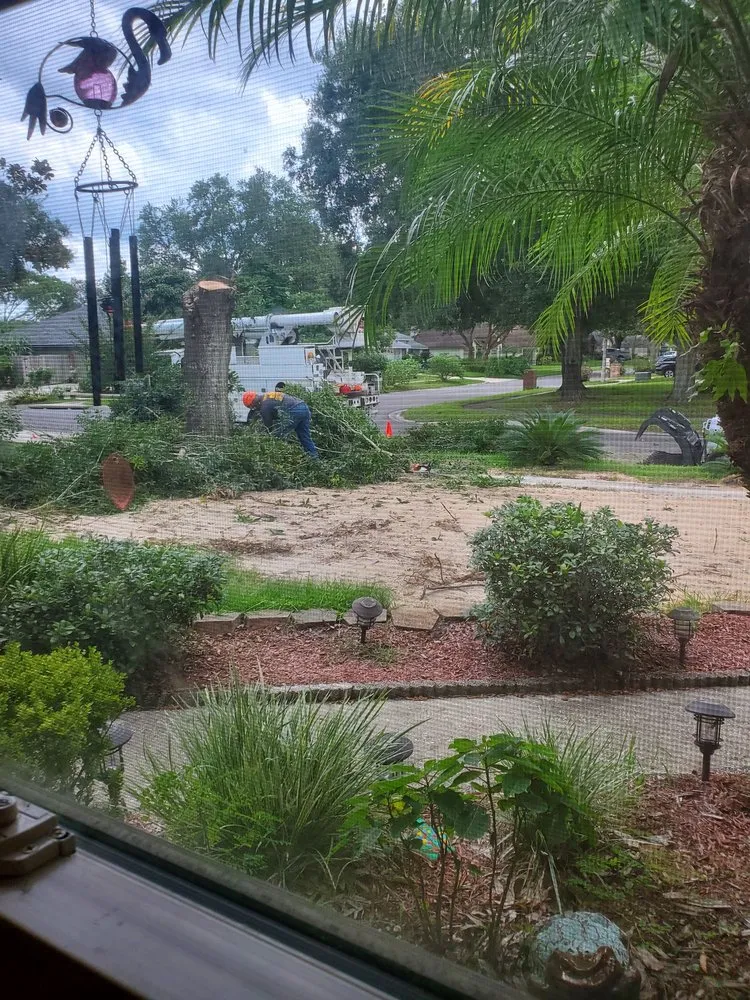 Expert landscape design for homes in Orlando, FL by Pugh’s Outdoors