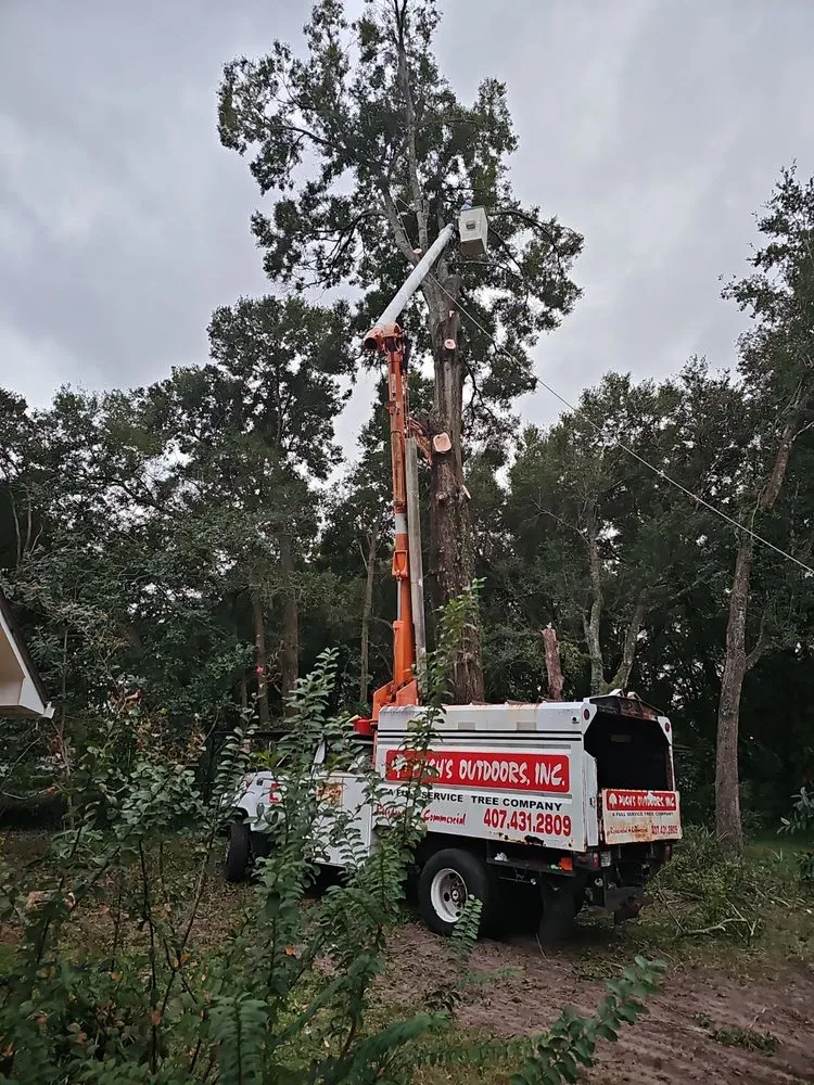 Professional landscape design experts serving Orlando, FL - Pugh’s Outdoors