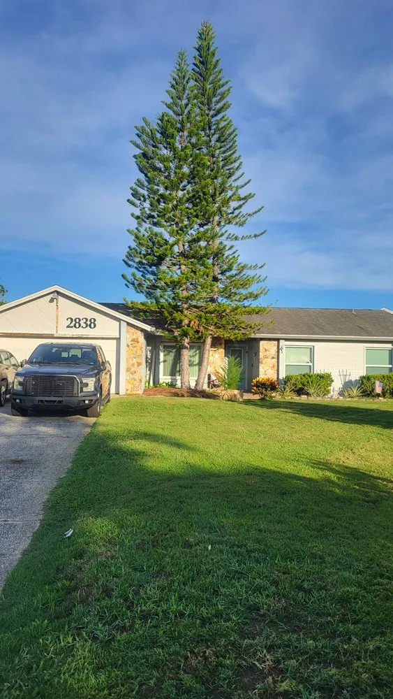 Affordable outdoor landscaping experts serving Orlando, FL - Pugh’s Outdoors