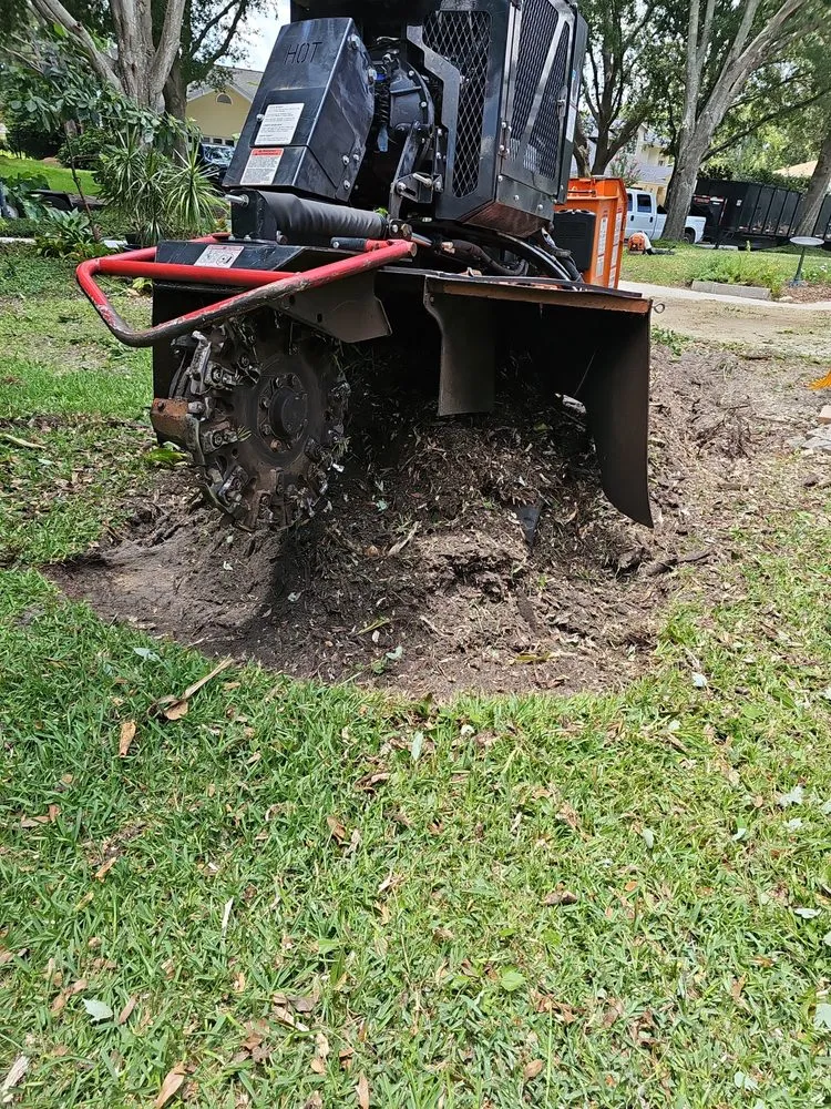 Custom residential landscaping for homes in Orlando, FL by Pugh’s Outdoors