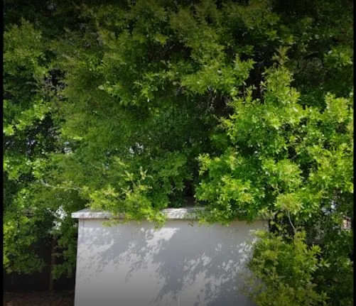 Expert yard maintenance in Orlando, FL by Pugh’s Outdoors