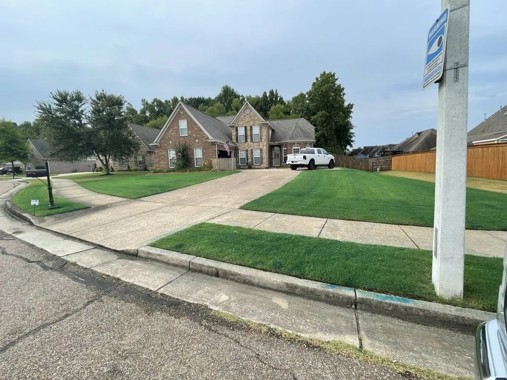 Professional yard cleanup service near you across Memphis, TN - Pugh's Residential Spray