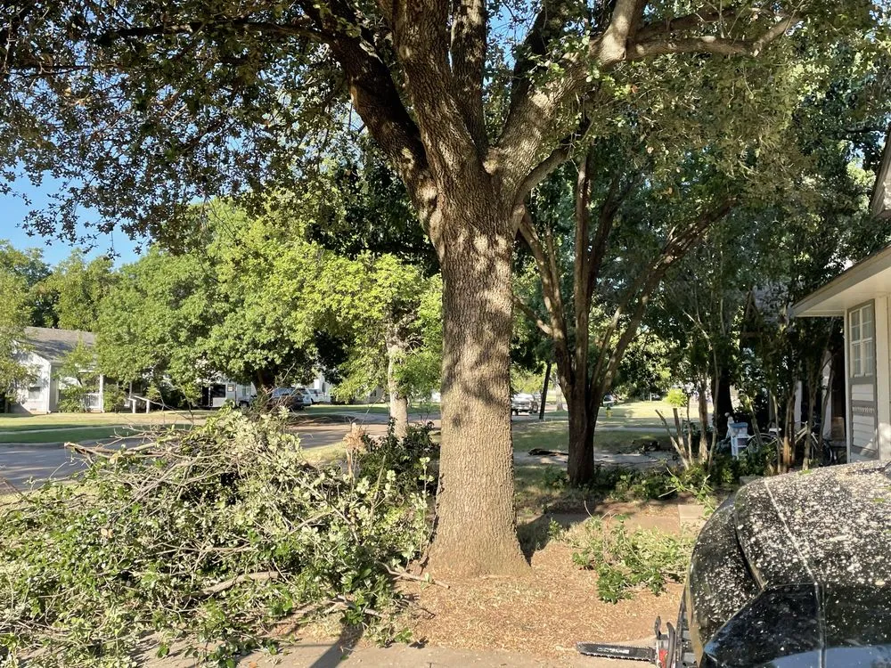 Professional garden landscaping for residential properties across Burkburnett, TX - Pugs Green Lawn And Contract Service