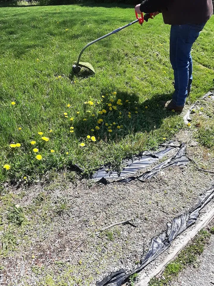 Professional residential landscaping in Bellefonte, PA - Puit Lawn Services