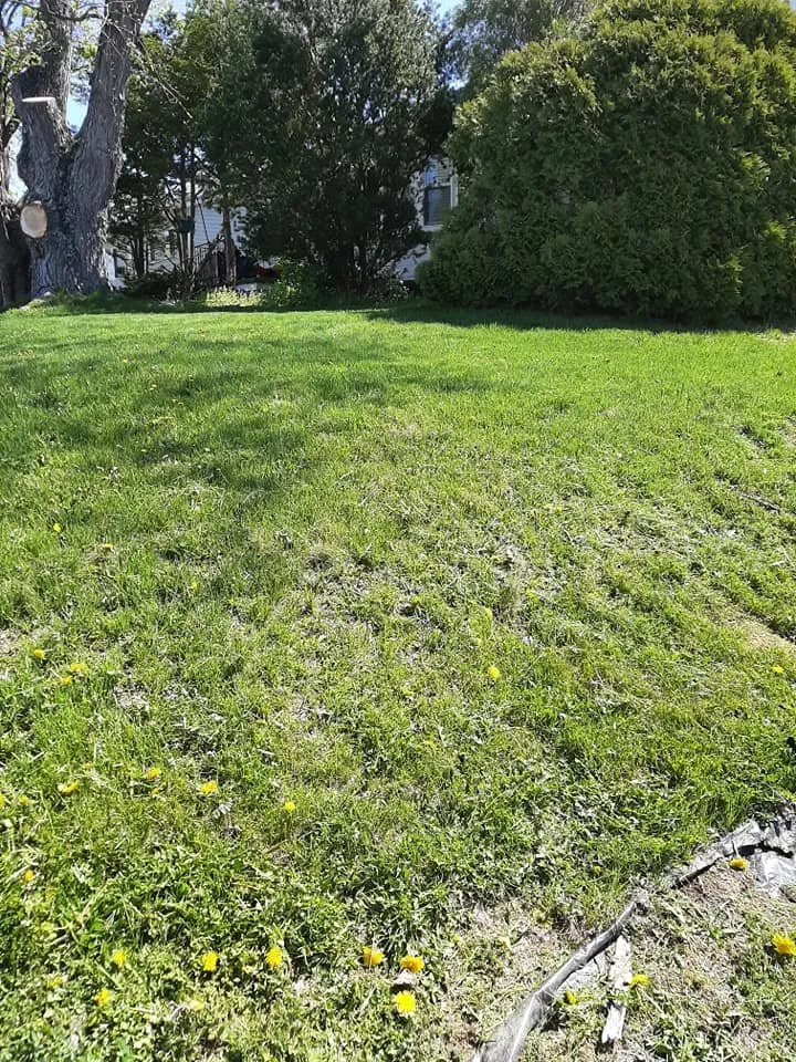 Expert yard maintenance experts serving Bellefonte, PA - Puit Lawn Services