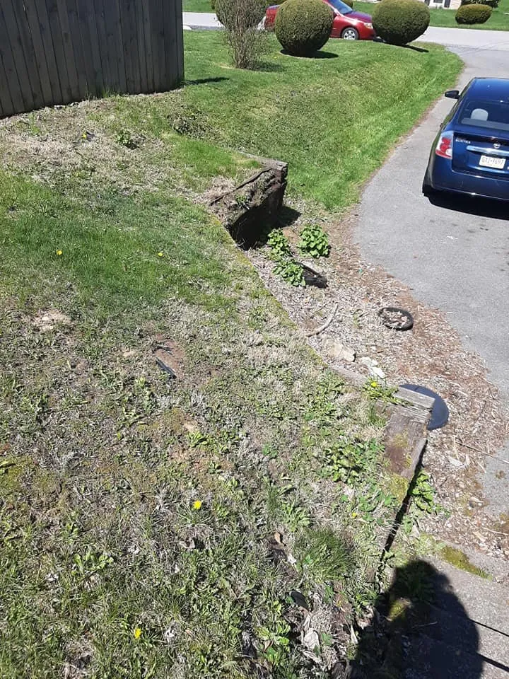 Top-rated lawn care service in Bellefonte, PA - Puit Lawn Services