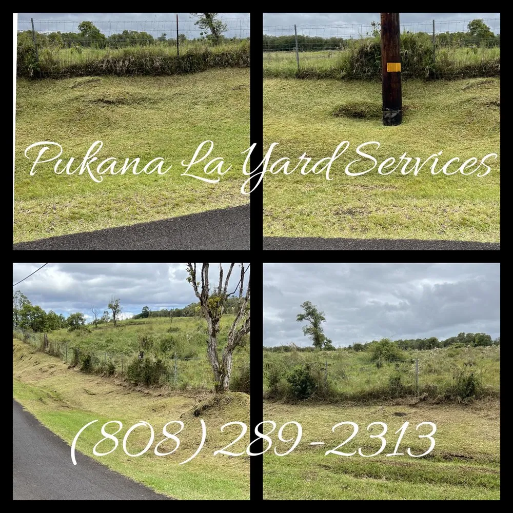 Affordable landscape installation experts serving Kurtistown, HI - Pukana La Yard Services