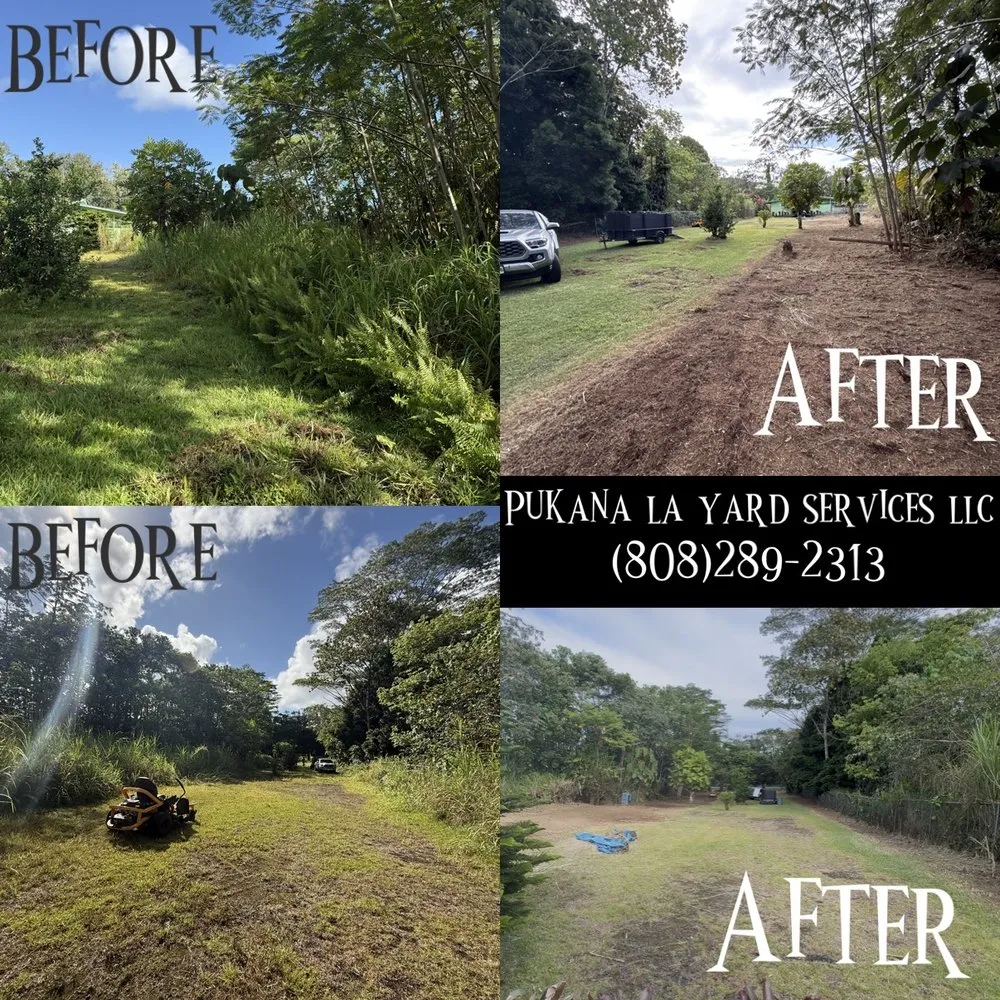 Affordable landscape design in Kurtistown, HI - Pukana La Yard Services
