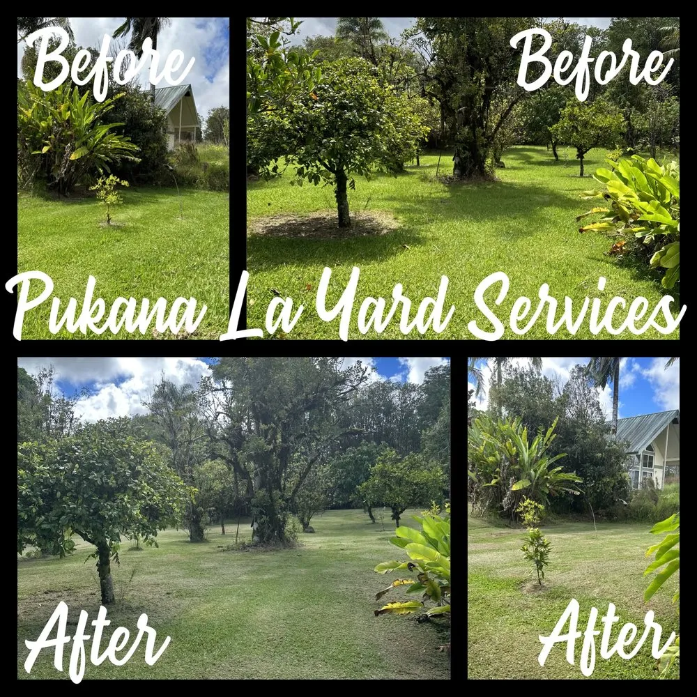 Custom lawn care service in Kurtistown, HI - Pukana La Yard Services
