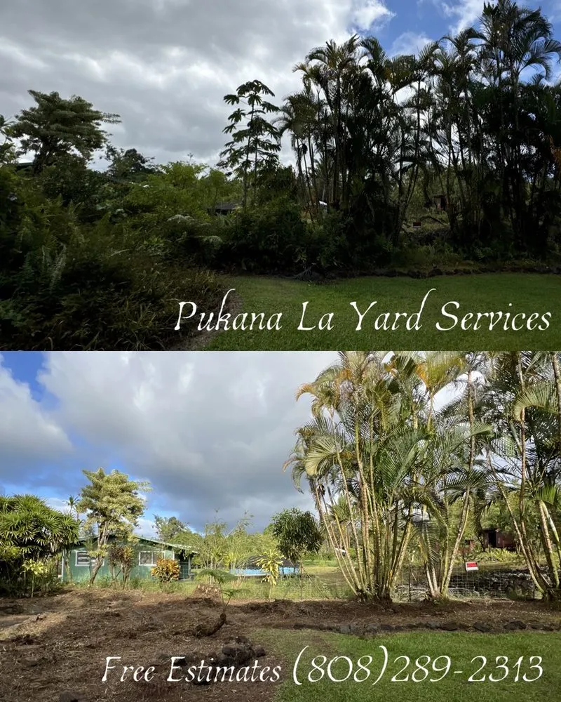 Top-rated lawn care service in Kurtistown, HI by Pukana La Yard Services