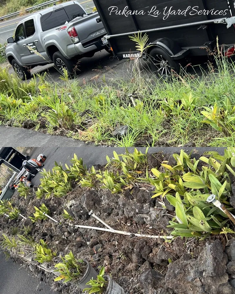 Custom landscaping services experts serving Kurtistown, HI - Pukana La Yard Services