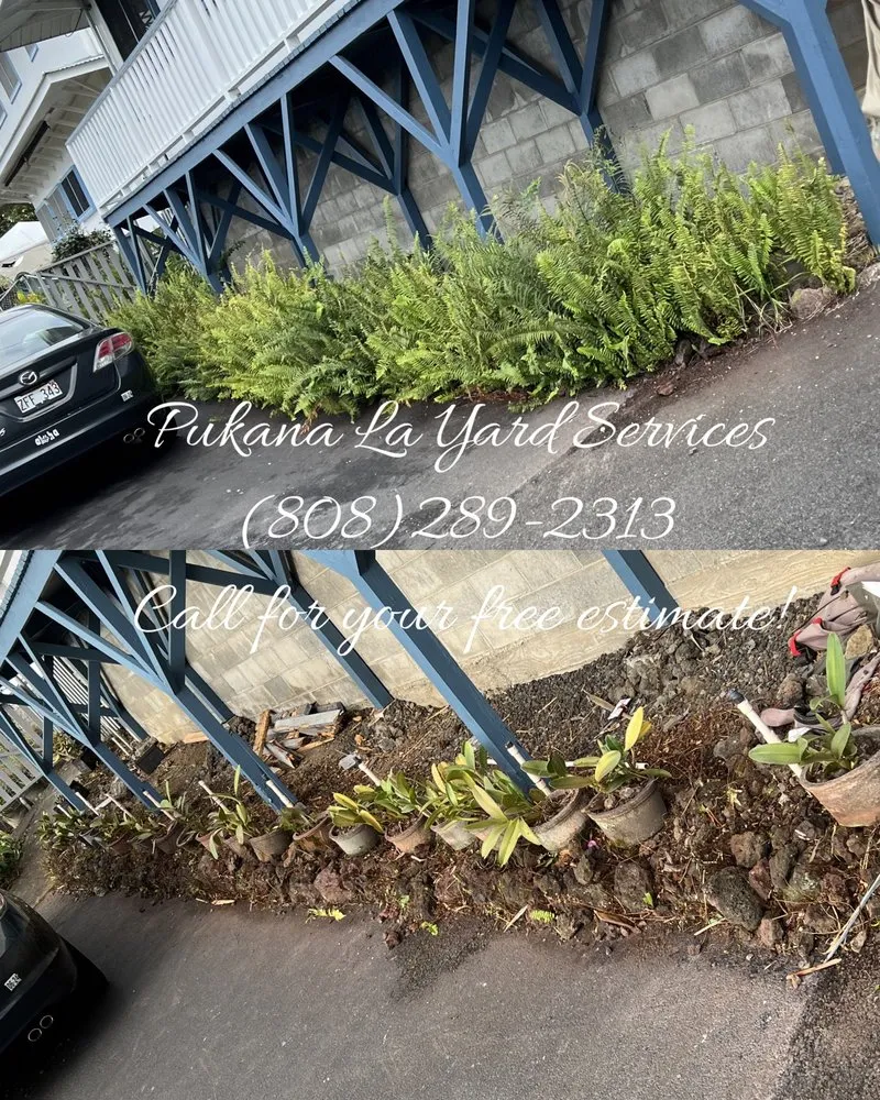 Expert lawn care service in Kurtistown, HI by Pukana La Yard Services