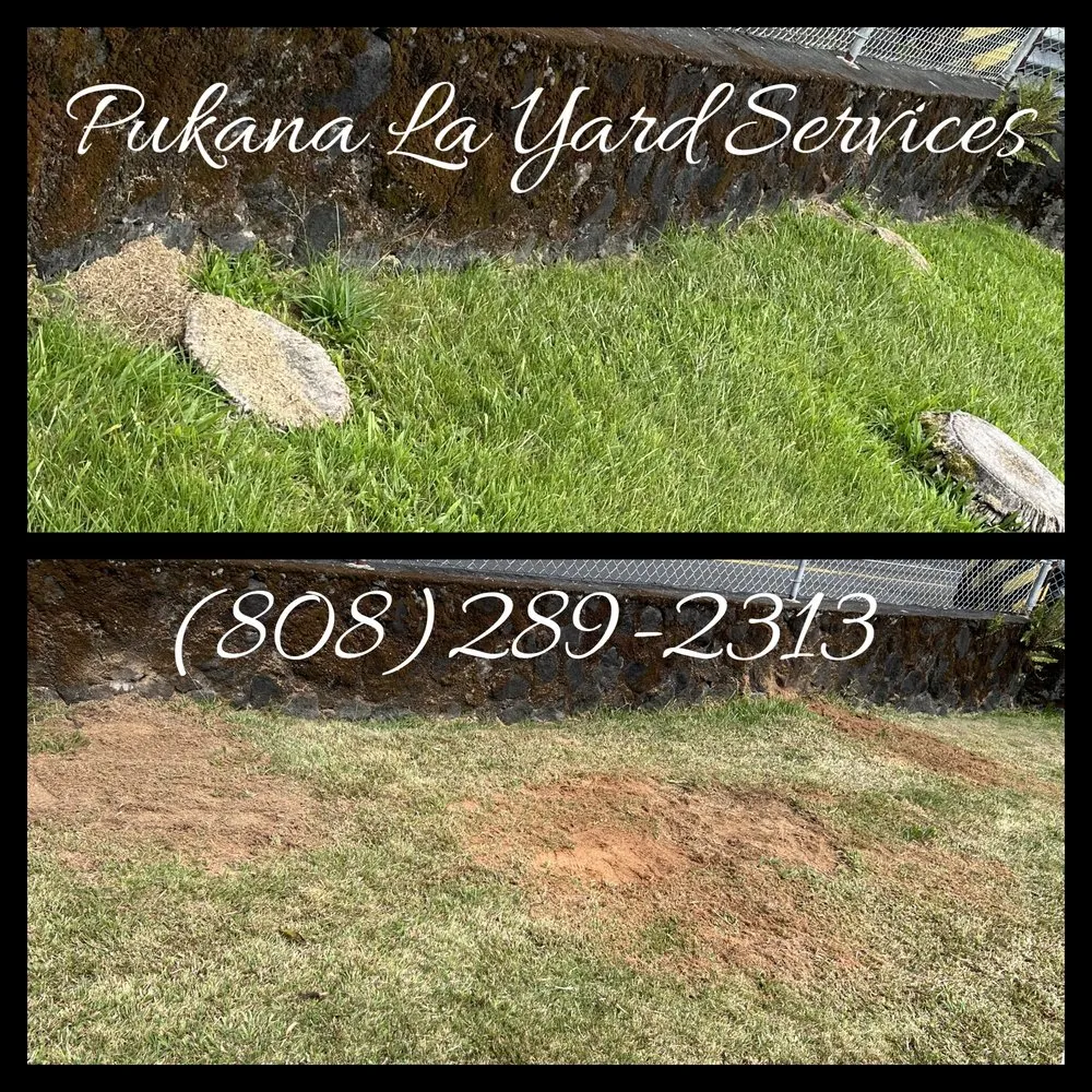Custom landscape installation in Kurtistown, HI - Pukana La Yard Services
