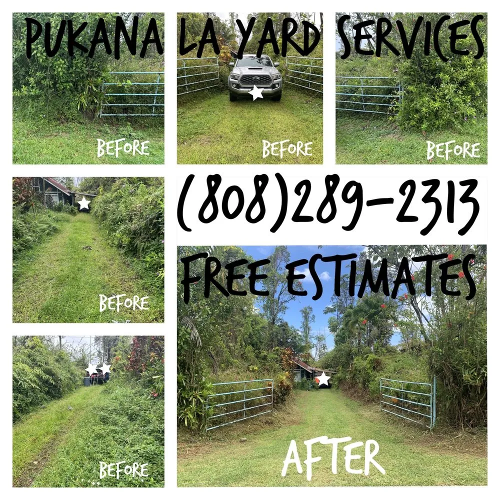 Expert yard cleanup service in Kurtistown, HI by Pukana La Yard Services