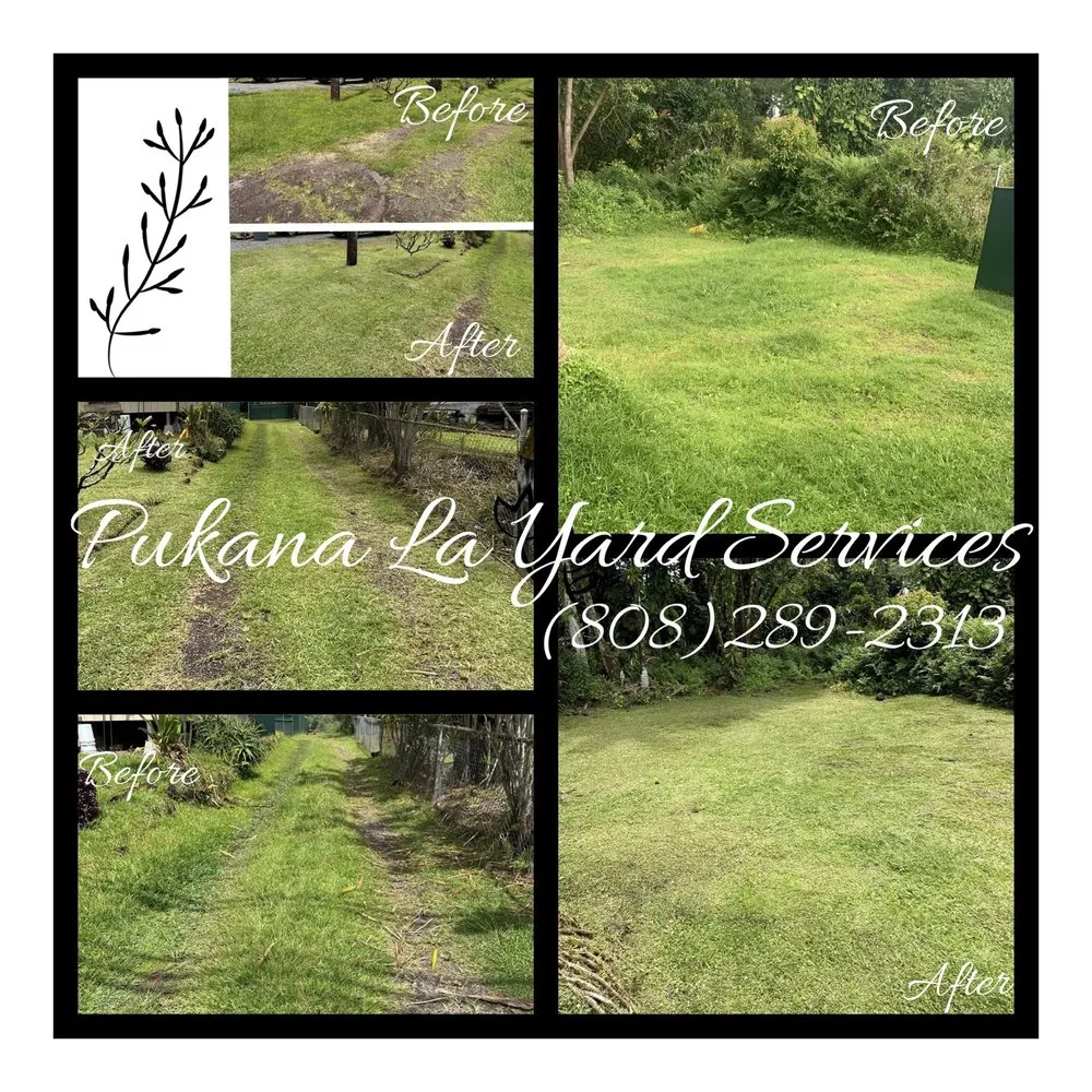 Trusted yard maintenance near you across Kurtistown, HI - Pukana La Yard Services