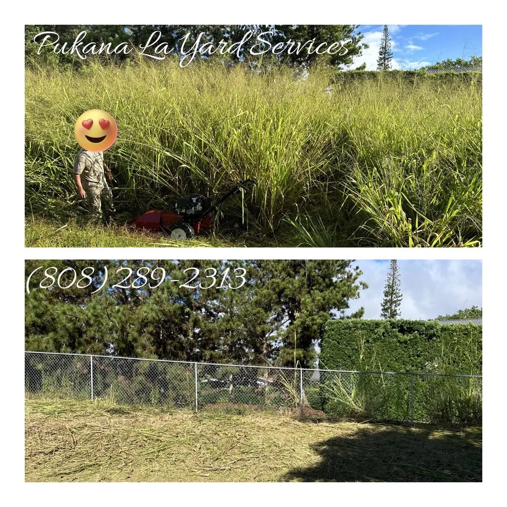 Local lawn mowing service in Kurtistown, HI - Pukana La Yard Services