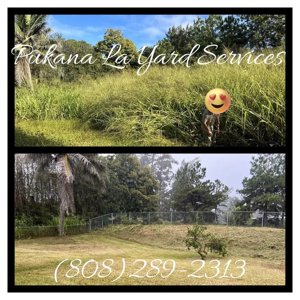 Top-rated landscape design in Kurtistown, HI by Pukana La Yard Services