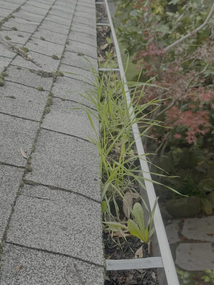 Local landscape design experts serving Sonoma, CA - Pulido Land Management