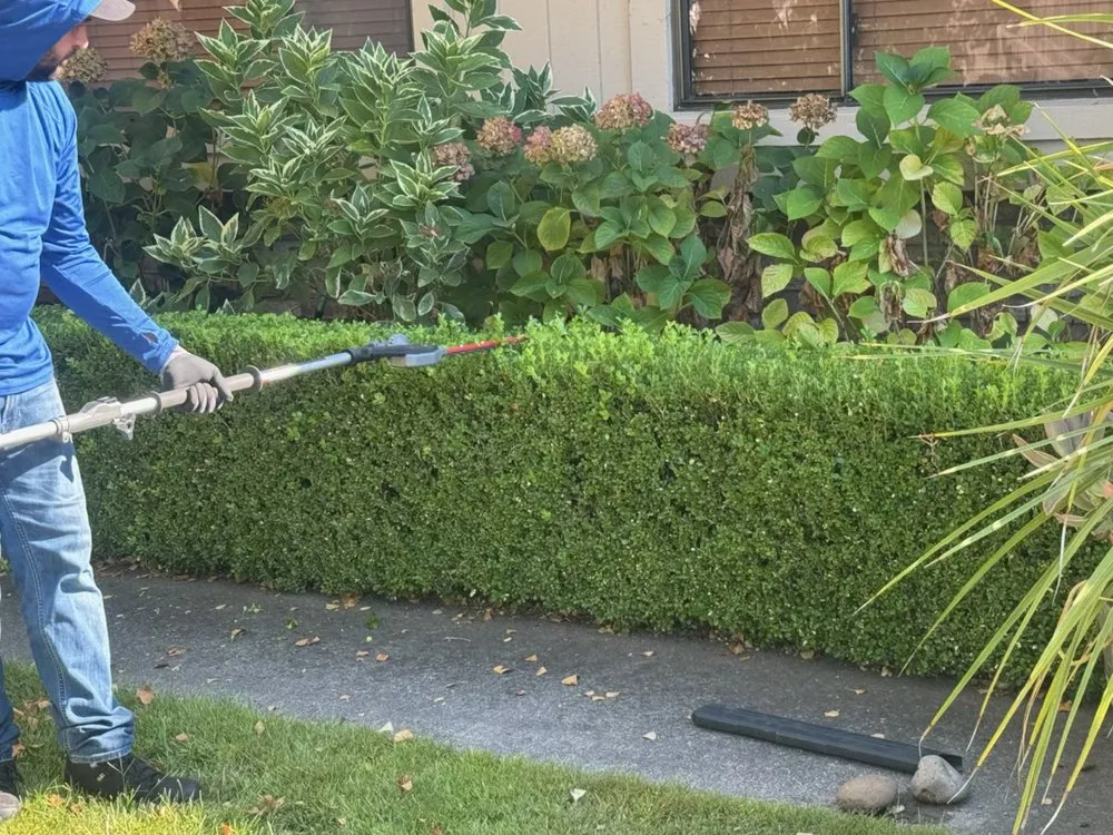 Professional garden landscaping in Sonoma, CA by Pulido Land Management