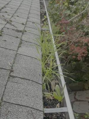 Pulido Land Management Logo