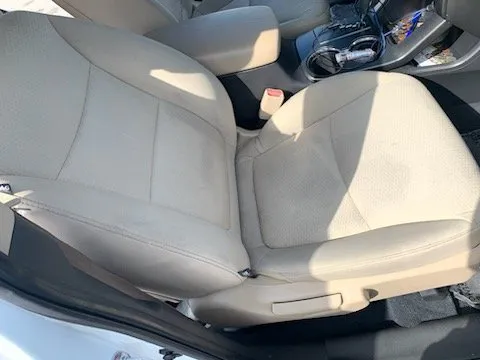 Trusted yard cleanup service experts serving Brunswick, GA - Pull Up 2 U Car Detailing and Sanitation