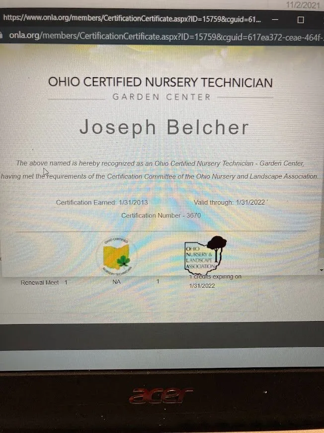 Local yard cleanup service for residential properties in Toledo, OH by Pullin-Up