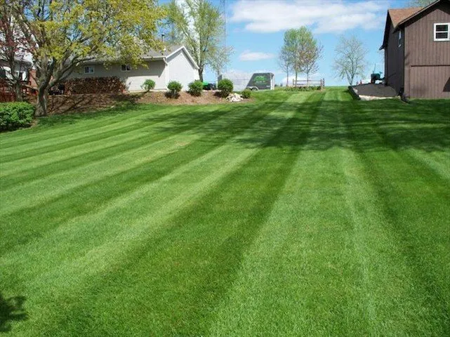 Trusted residential landscaping near you in Mayville, WI by Puls Tree & Lawn Care