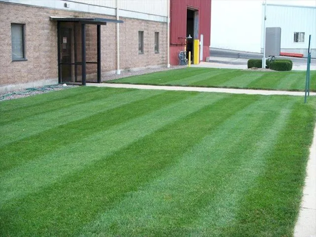 Local outdoor landscaping for residential properties in Mayville, WI by Puls Tree & Lawn Care