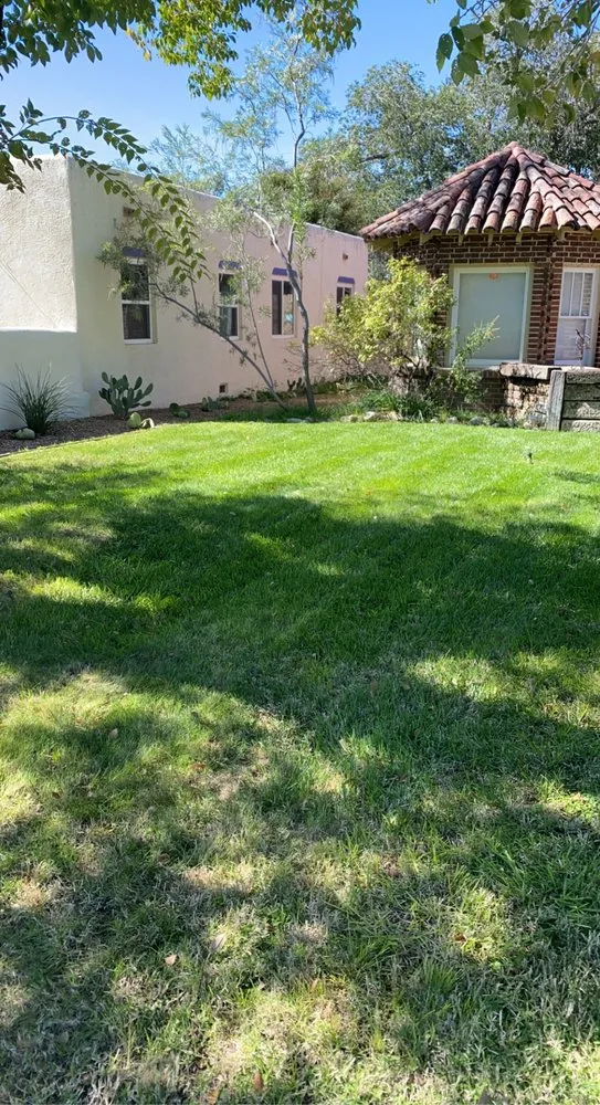 Expert landscape installation for beautiful yards across Albuquerque, NM - Puma Landscaping