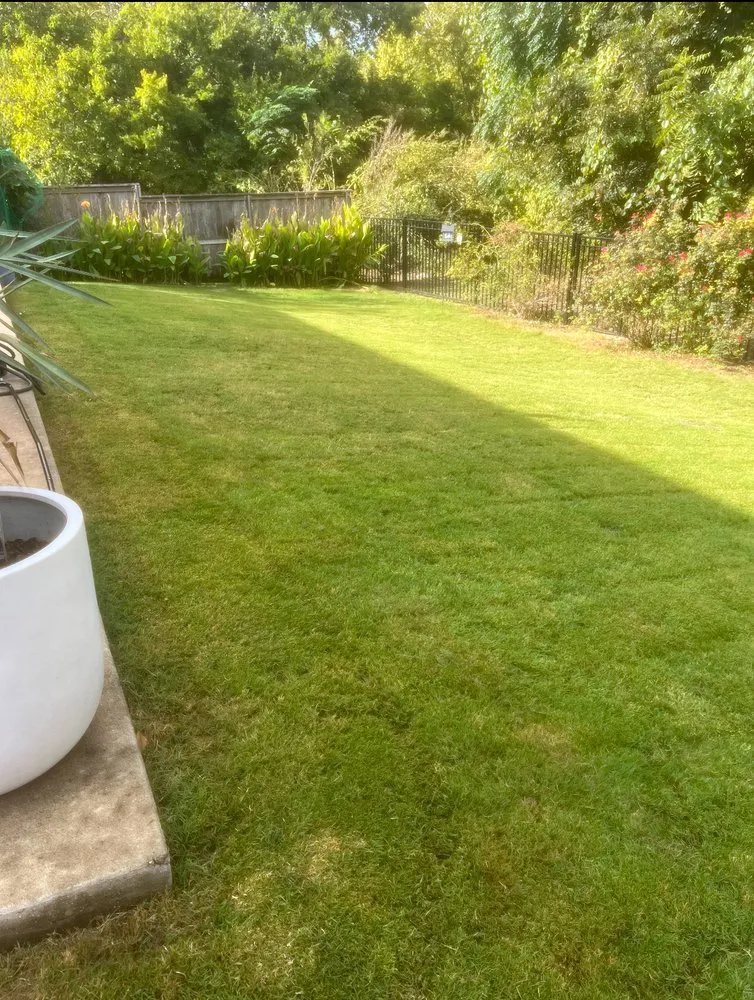 Professional garden landscaping in Pflugerville, TX - Puma Wash