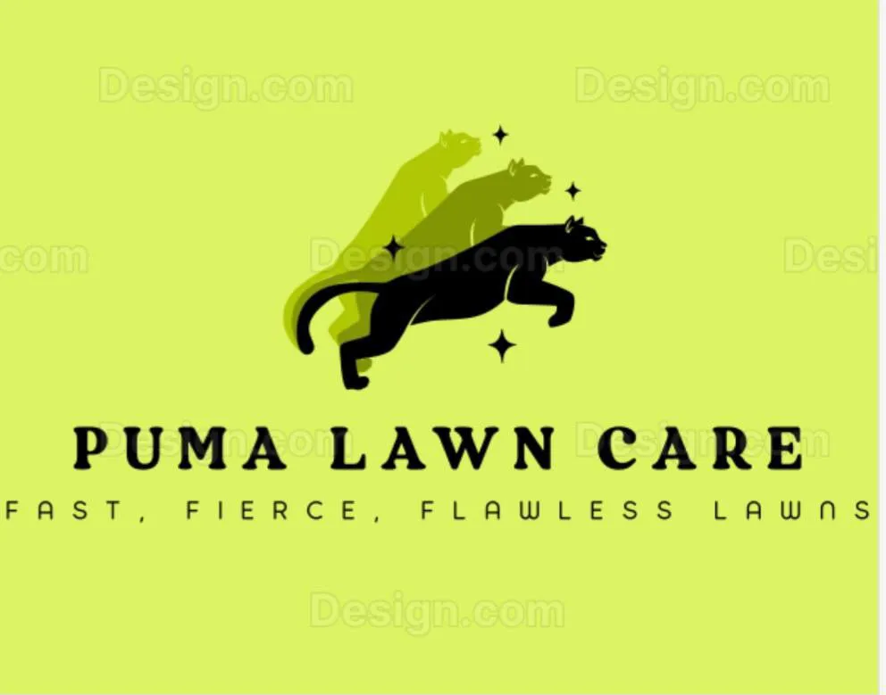 Expert lawn care service in Brooklyn Park, MD - Puma's Lawn Care