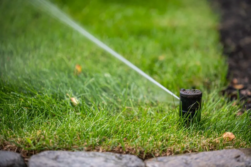 Custom landscape installation for beautiful yards in Hingham, MA by Pungitore Irrigation & Fertilizer