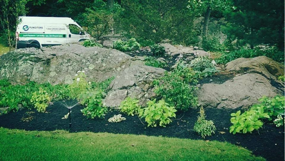 Reliable garden landscaping experts serving Hingham, MA - Pungitore Irrigation & Fertilizer