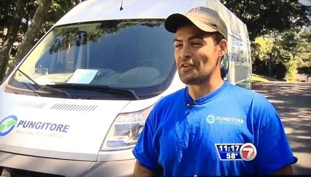 Professional garden landscaping in Hingham, MA - Pungitore Irrigation & Fertilizer